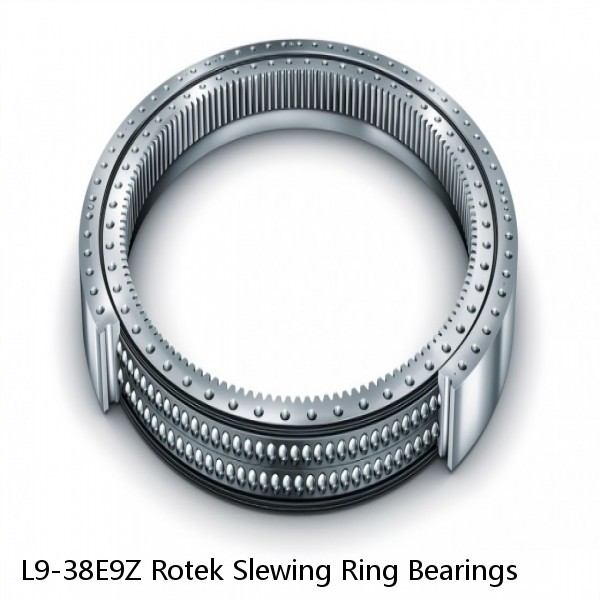 L9-38E9Z Rotek Slewing Ring Bearings