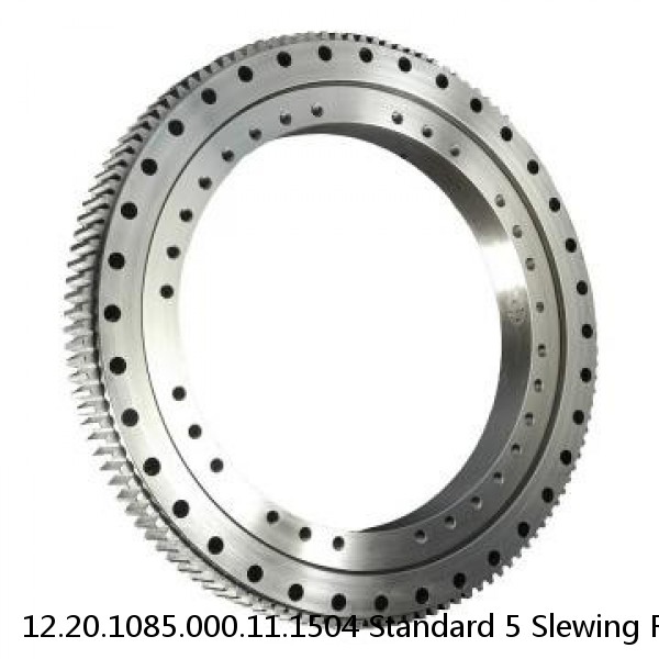 12.20.1085.000.11.1504 Standard 5 Slewing Ring Bearings