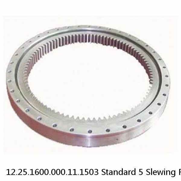 12.25.1600.000.11.1503 Standard 5 Slewing Ring Bearings