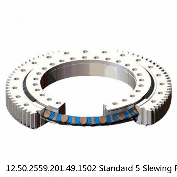 12.50.2559.201.49.1502 Standard 5 Slewing Ring Bearings #1 small image