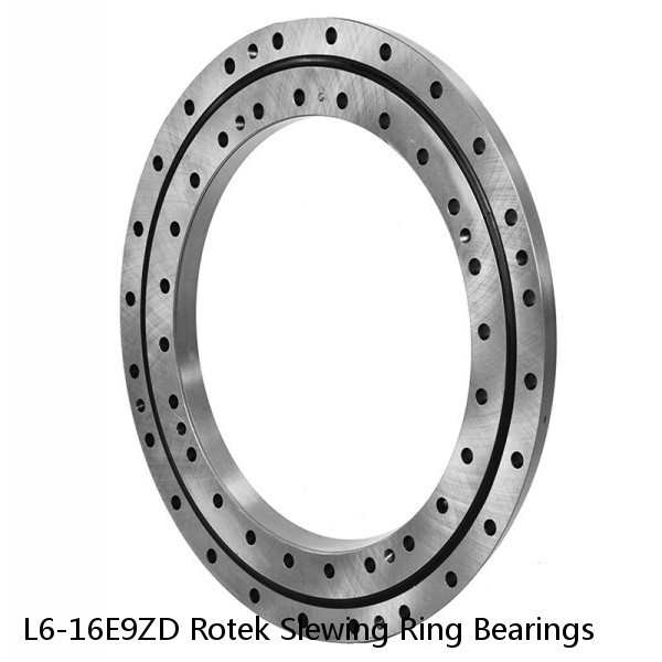 L6-16E9ZD Rotek Slewing Ring Bearings