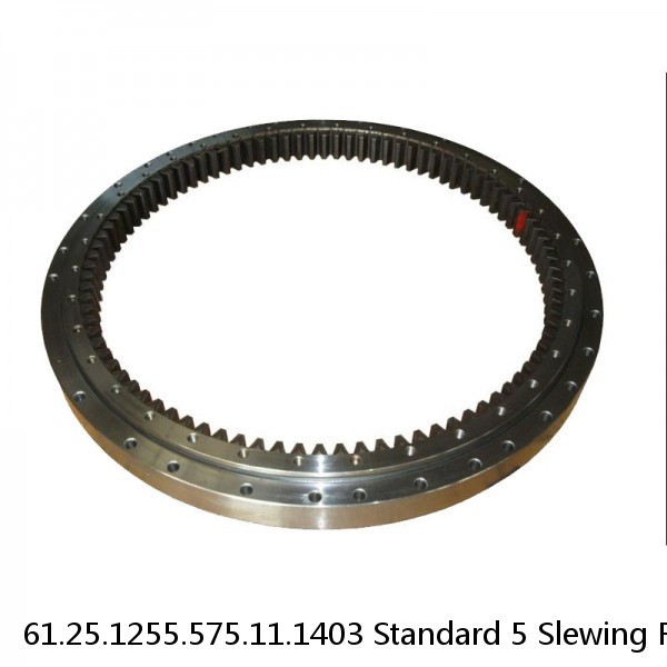 61.25.1255.575.11.1403 Standard 5 Slewing Ring Bearings #1 small image