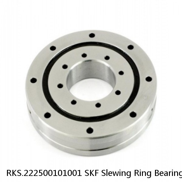 RKS.222500101001 SKF Slewing Ring Bearings #1 small image