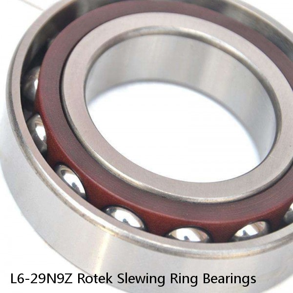 L6-29N9Z Rotek Slewing Ring Bearings #1 small image