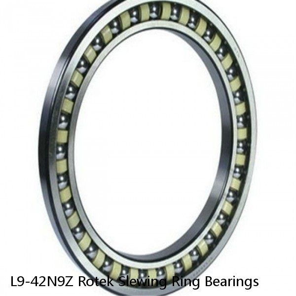L9-42N9Z Rotek Slewing Ring Bearings #1 small image