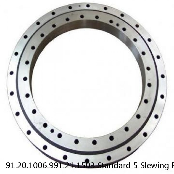 91.20.1006.991.21.1503 Standard 5 Slewing Ring Bearings #1 small image