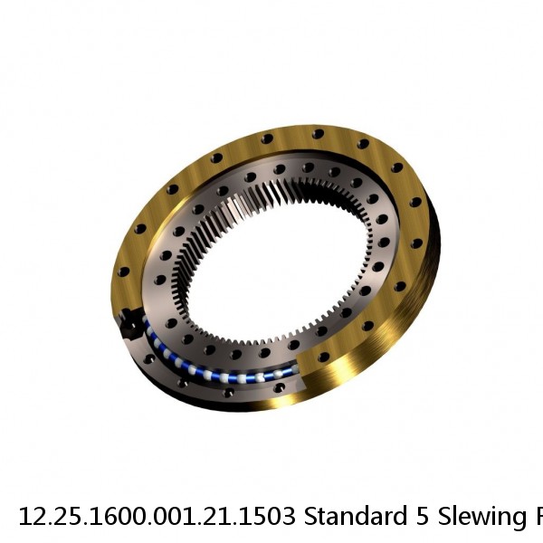 12.25.1600.001.21.1503 Standard 5 Slewing Ring Bearings #1 small image