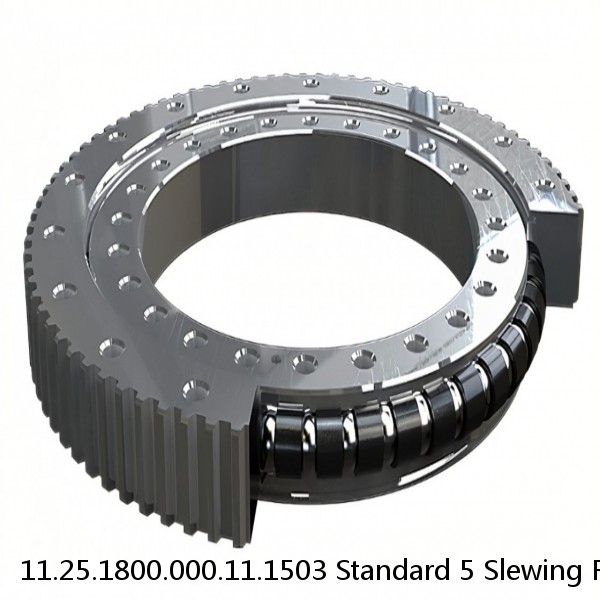 11.25.1800.000.11.1503 Standard 5 Slewing Ring Bearings #1 small image