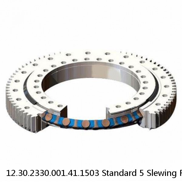 12.30.2330.001.41.1503 Standard 5 Slewing Ring Bearings #1 small image