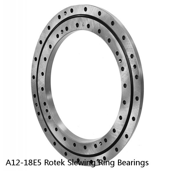 A12-18E5 Rotek Slewing Ring Bearings #1 image