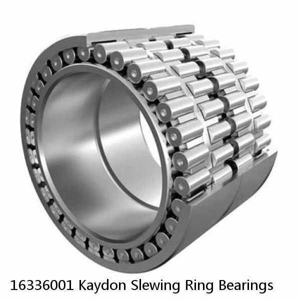 16336001 Kaydon Slewing Ring Bearings #1 image