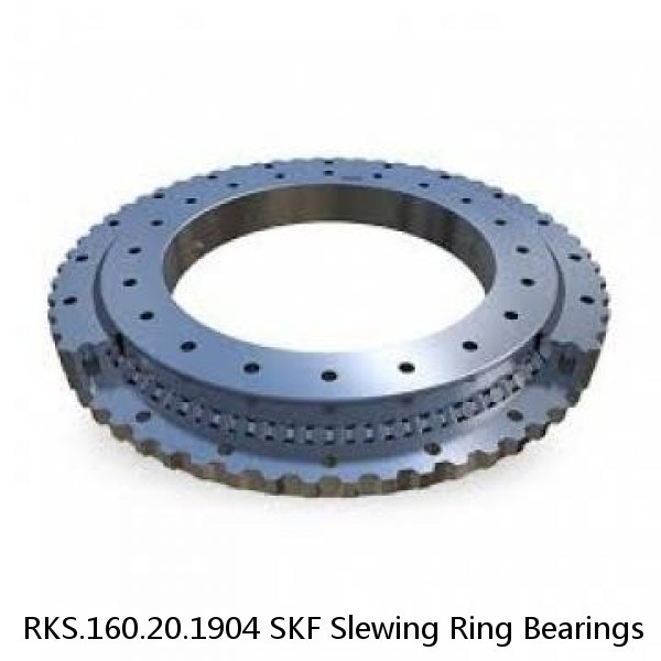 RKS.160.20.1904 SKF Slewing Ring Bearings #1 image