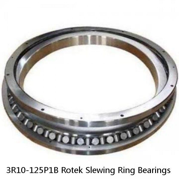 3R10-125P1B Rotek Slewing Ring Bearings #1 image