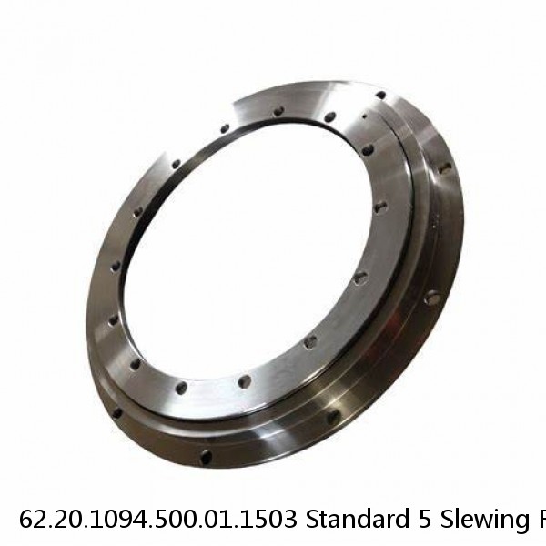 62.20.1094.500.01.1503 Standard 5 Slewing Ring Bearings #1 image