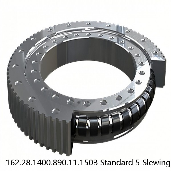 162.28.1400.890.11.1503 Standard 5 Slewing Ring Bearings #1 image