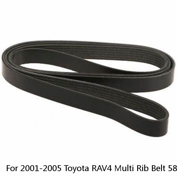 For 2001-2005 Toyota RAV4 Multi Rib Belt 58541NS 2002 2003 2004 #1 image
